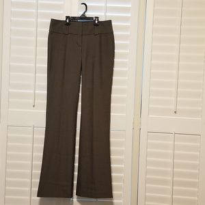 Express Flare Editor Pant - Brown